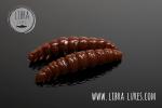 Libra Lures, Larva- Multi Cheese 125, 5x25mm,038 Brown
